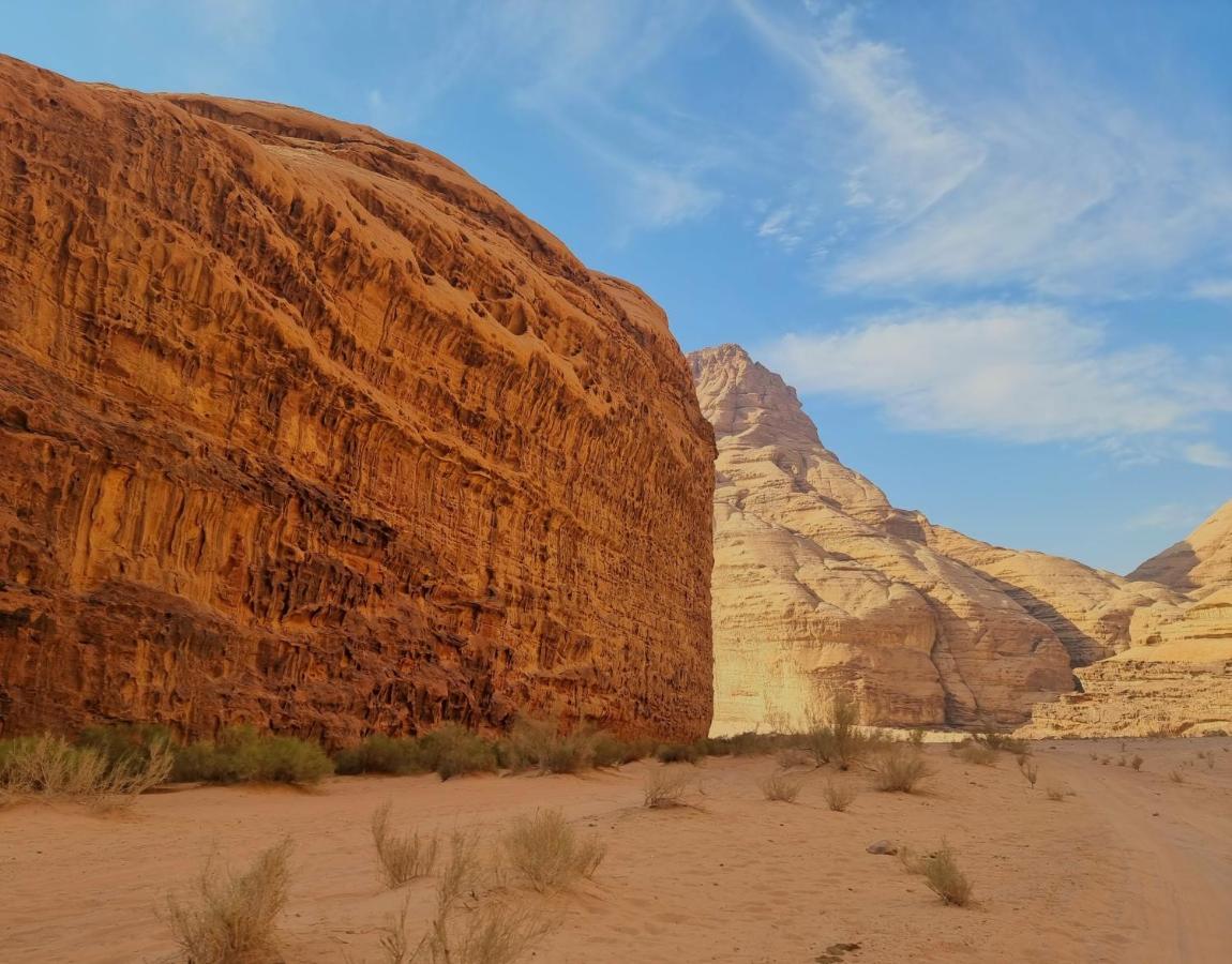 Desert Knights Camp Wadi Rum Exterior foto